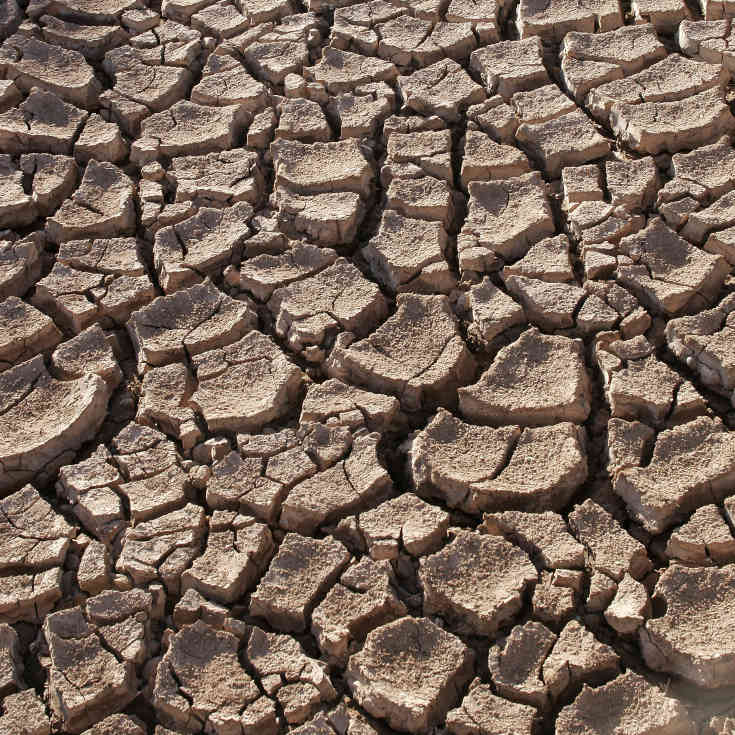 Cracked earth in drought