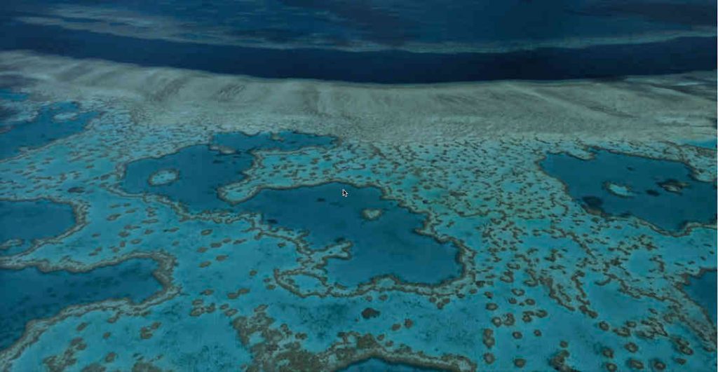 Australia's Great Barrier Reef includes 10% of the world's coral reefs. Coral reefs play on important part in ocean ecology. But they are under threat.